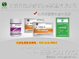 深耕禽药市场，把握代理机遇 从鸭药到品牌的全方位指南