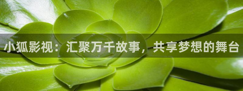 韩国影视大全：小狐影视：汇聚万千故事，共享梦想的舞台