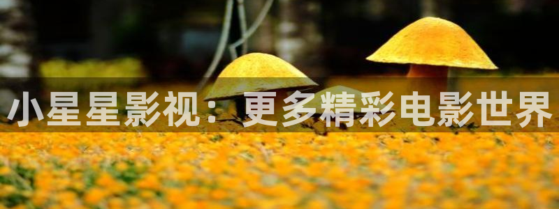 必胜韩国影视：小星星影视：更多精彩电影世界