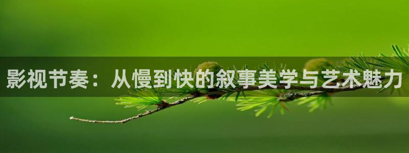 韩国影视免费在线观看：影视节奏：从慢到快的叙事美学与艺术魅力