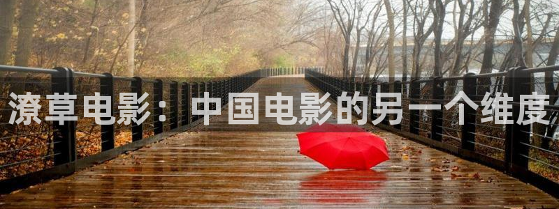 穿梭在韩国影视世界的小说：潦草电影：中国电影的另一个维度