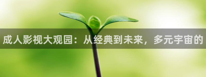 韩国影视在线免费观看：成人影视大观园：从经典到未来，多元宇宙的