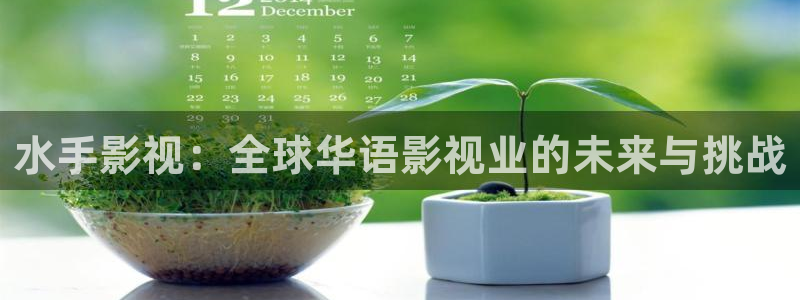 韩国影视大全：水手影视：全球华语影视业的未来与挑战