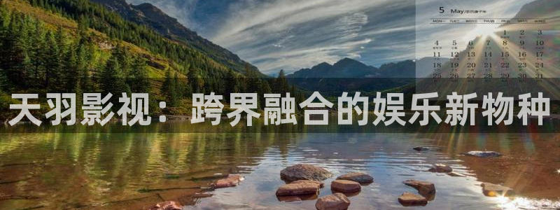 穿梭在韩国影视世界的小说：天羽影视：跨界融合的娱乐新物种