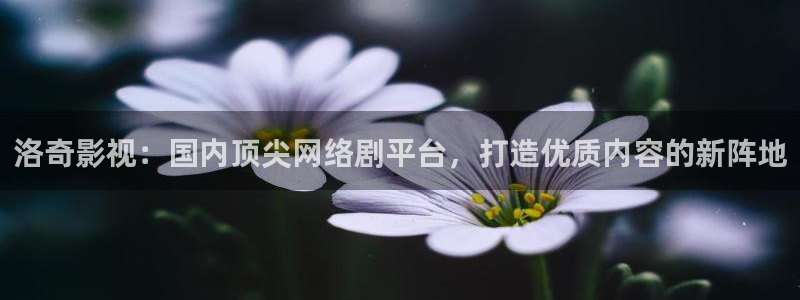 韩国影视大全：洛奇影视：国内顶尖网络剧平台，打造优质内容的新阵地